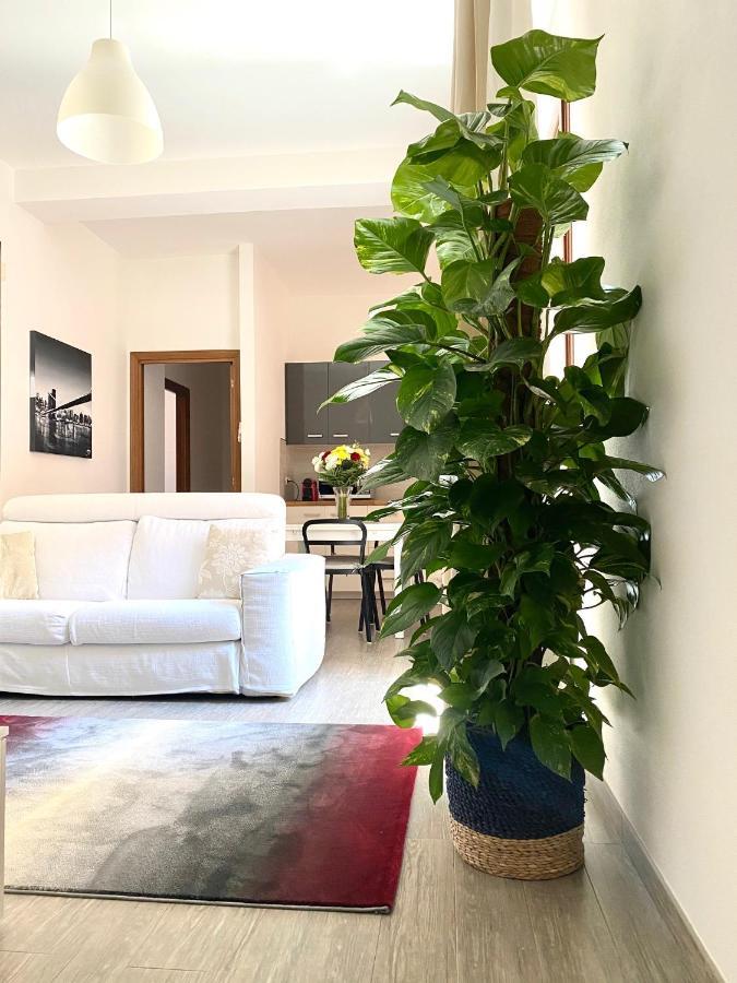 Delonix Regia Olbia Apartment Ngoại thất bức ảnh